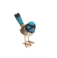 Large Male Fairy Wren with Feet
