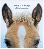 Little book of Heavenly Horses - By Affirmations - Page reads : Beauty is in the ey of the the beholder. Photo of a horses face