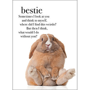 Affirmation Card - Bestie. Sometimes I look at you and think to myself, where did I find this weirdo? But then I think what would I do without you? 