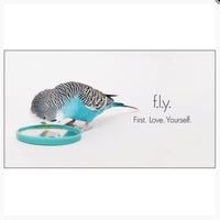 Little book of Feathered Friends - By Affirmations - page reads - F.L.Y. First love yourself
