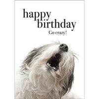 Little Card - Happy Birthday. Go Crazy! - by Affirmations
