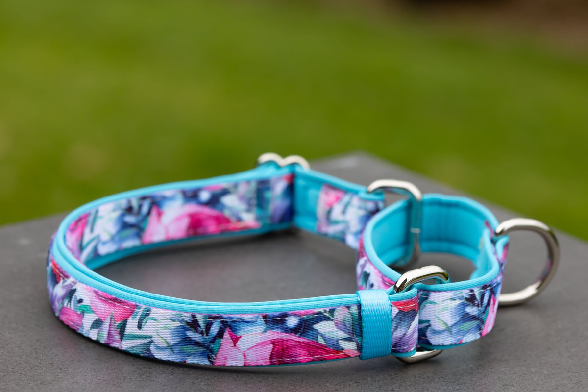 Dizzy Dog Collars Charlie Chums