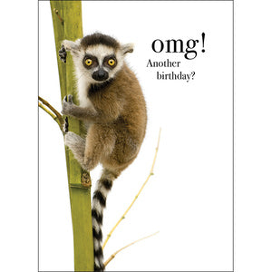 Affirmation Card - Beautiful presented card  OMG! Another Birthday!  Inside Verse - Get outta here!