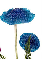 Colourful Fairy Mushrooms Mixed