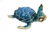 Comical Marble Turtles