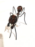 Black Brown Wire Metal Ant front on with mounting arm to attach to wall or wood