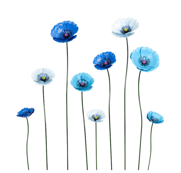 Blue Metal Poppies - 9 poppies