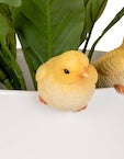Chick pot Sitter head Side