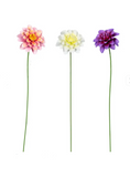 Dahlias on a metal stick. Available in pink white or purple colours. Each flower sold separately. Great for displaying in pots or in the garden.