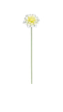 Dahlias on a metal stick.  White Dahlias. Each flower sold separately. Great for displaying in pots or in the garden.