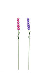 Beautiful Delphinium in Purple or Pink. These beautiful flowers will add colour and interest to your garden or pot. 6cm x 5cm x 76cm