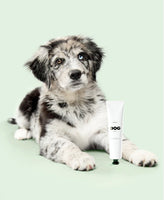 DOG by Dr Lisa, Soothing Balm pictured with an Aussie shepherd