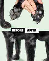 DOG by Dr Lisa before and After photos of paws and elbows