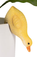 Yellow Duckling Pot sitter made in resin. Leaning Down the side of the pot
