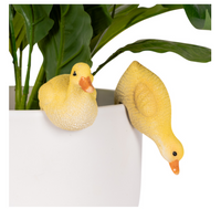 Yellow Duckling Pot sitters - 2 designs available Sitting on Top or Leaning Down the pot.