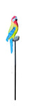 Eastern Rosella on a stick. Yellow Red and Blue in colour, sitting on a small wood like perch that sits on the a metal stick 5cm x 5cm x 21cm