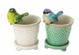 Small Birds Pot hanger available in two colours Green or Blue