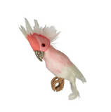 Christmas Decorations Birds
