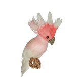 Galah Flying Small Birds with Pink and white body and face