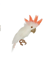 Christmas Decorations Birds