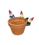 Gnome Pot Sitters. 3 different Gnomes available to add colour and fun to your garden pots or vases. Sold Separately