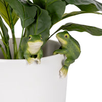 Green Frog Pot Sitter