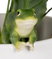 Green Frog Pot Sitter