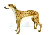 Hand painted resin figurine of a Greyhound Dog