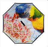 Reverse Umbrellas by IOco - Designs by Dani Till