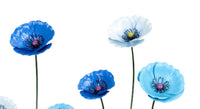 Blue Metal Poppies - Various sizes