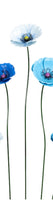 Large Metal Blue Poppy in Light Colour Hughes
