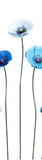Large Metal Blue Poppy in Light Colour Hughes
