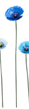 Large Metal Blue Poppy in Dark Blue