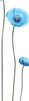 LargeMetalBluePoppyinMediumBlueColour