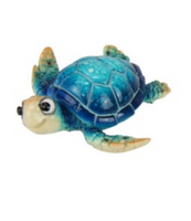 Cute Turtle in Light Blue