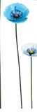 Medium Metal Blue Poppies in Medium Blue colour