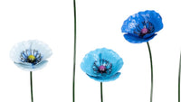 Blue Metal Poppies - Various sizes
