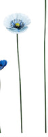 Medium Metal Blue Poppy In Light Blue Hughes