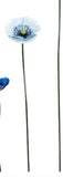 Medium Metal Blue Poppy In Light Blue Hughes