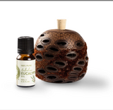 Banksia Nut Aroma Pods & Accessories