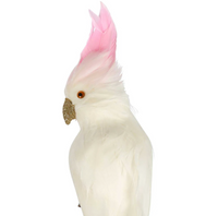 Christmas Decorations Birds