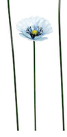 Small Metal Blue Poppy in Light blue Coloured Hughes
