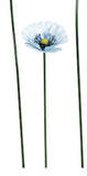 Small Metal Blue Poppy in Light blue Coloured Hughes