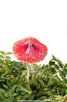 Small red Metal Mushrooms