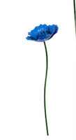 Small Metal Blue Poppy in Dark blue colour