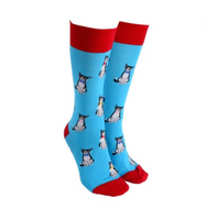 Sock Society Bow Tie Cats - Aqua Body and Junior Red Tops Toes and Heels