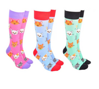 Sock Society - Cute Cats range