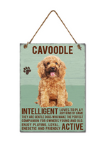 Bright Metal Sign - Cavoodle - Inteligent loves to play any kind of game they are gentle dogs who make the perfect companion for owners young and old. Enjoy playing, loyal energetic and friendly Active