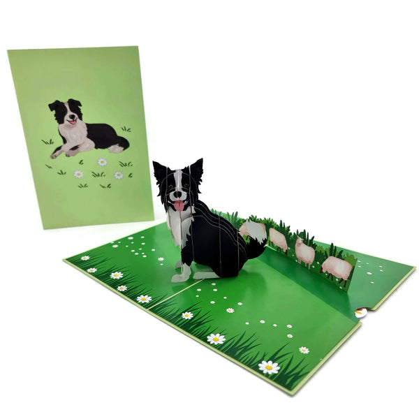Border Collie Dog 3D Pop Up Card