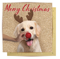 Christmas Cards